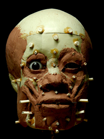 Forensic reconstruction of Asian male 1104